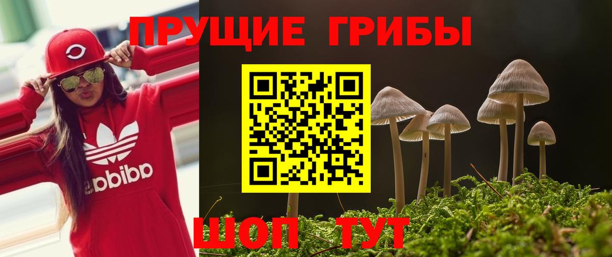 Псилоцибиновые грибы Psilocybe  Вход с VPN  где продают   Орск 